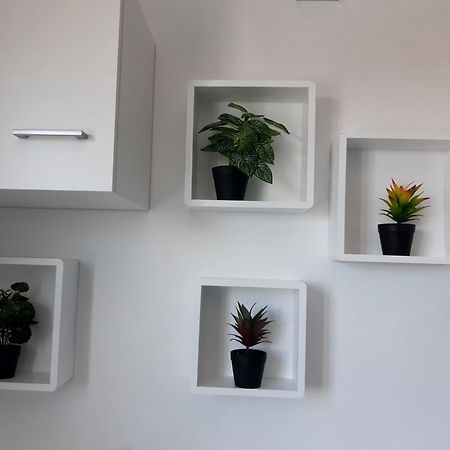 Joli Appartement, Piscine, Jacuzzi Sainte-Suzanne Esterno foto