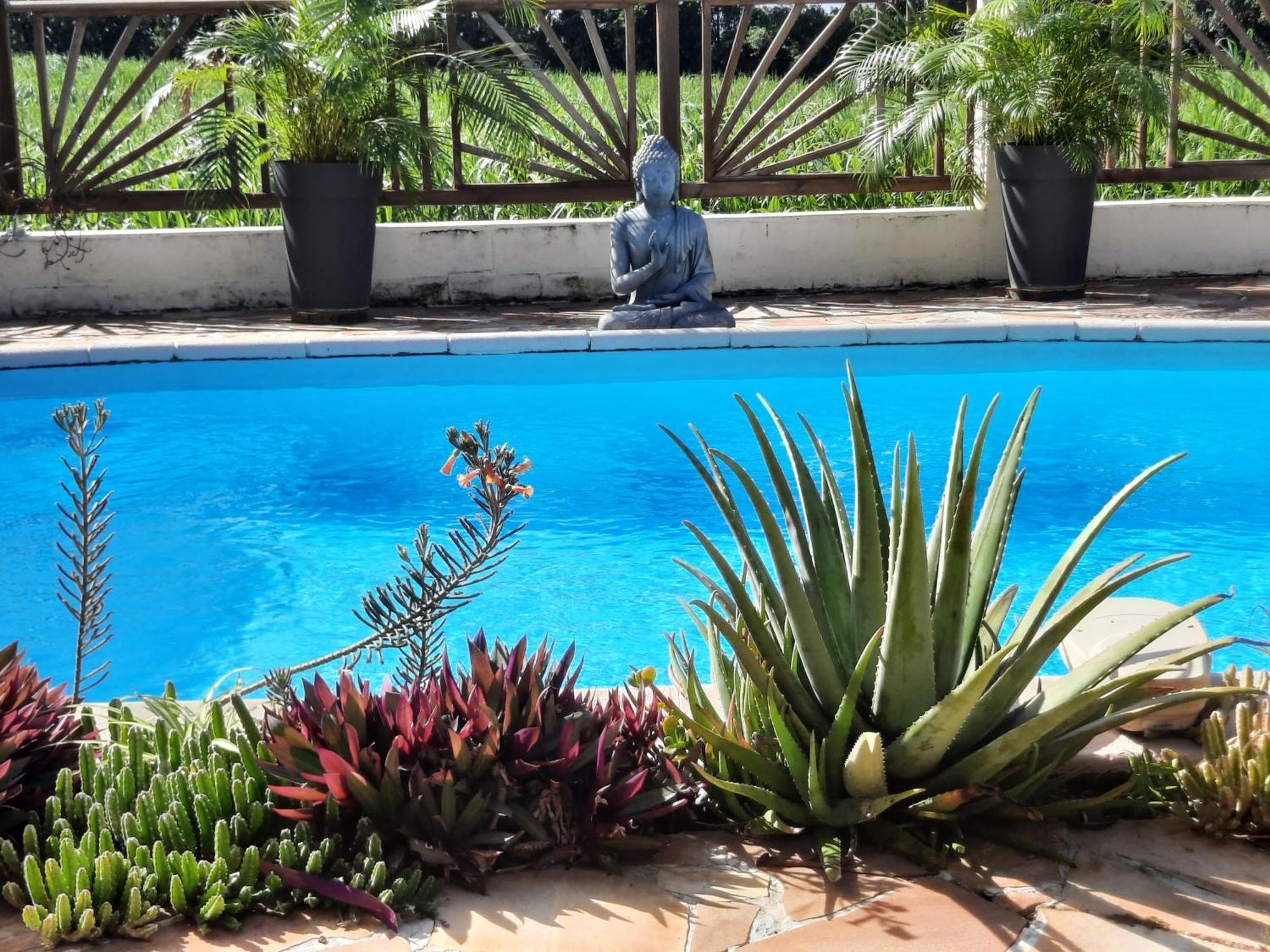 Joli Appartement, Piscine, Jacuzzi Sainte-Suzanne Esterno foto